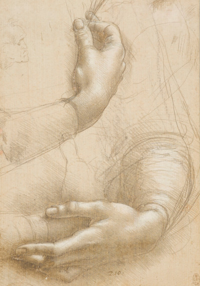 Leonardo da Vinci Drawings